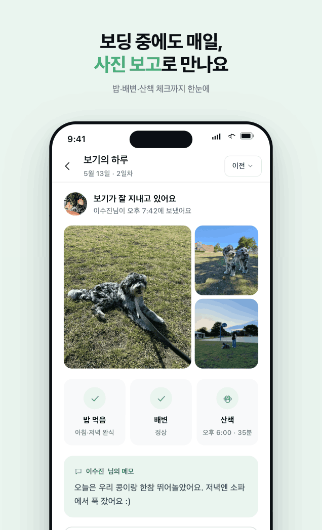 매일 사진 보고 화면
